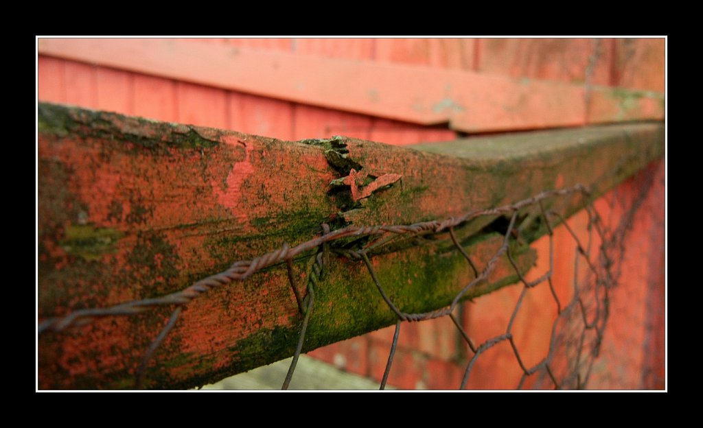Weathered Red Fence