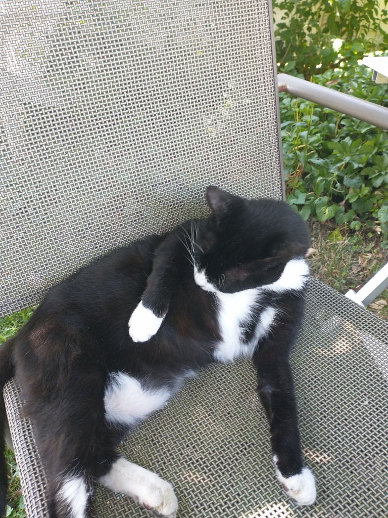 Card 26 " Something in Black & White" 