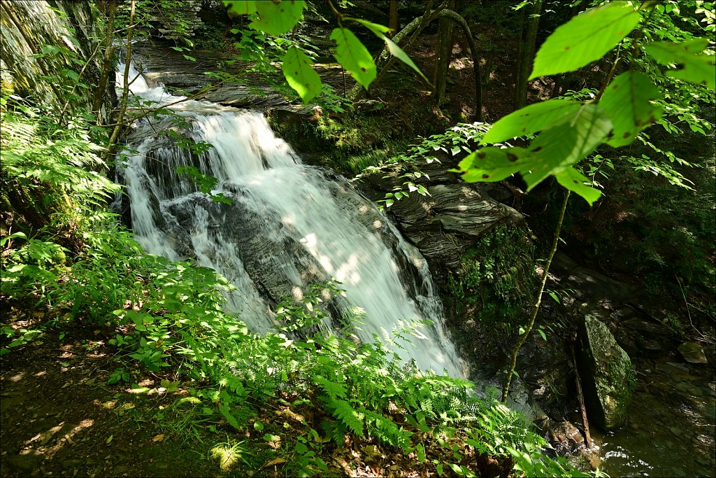 Upstate NY 2024