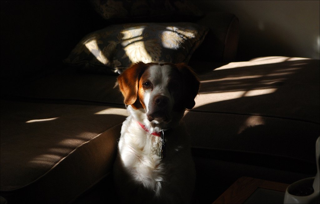 Copper