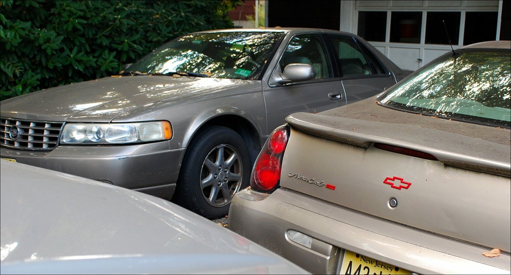Caddy & Monte