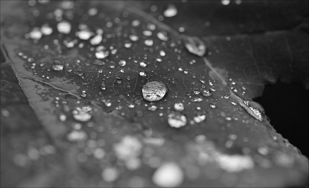 Raindrops