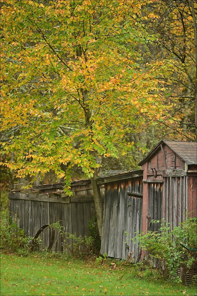 Fall 2024 Upstate NY