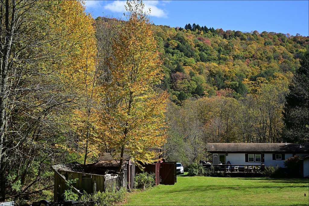 Fall 2024 Upstate NY