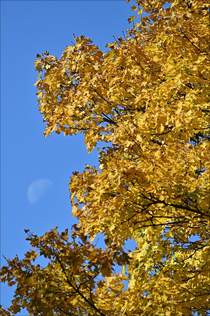 Columbia Trail - 