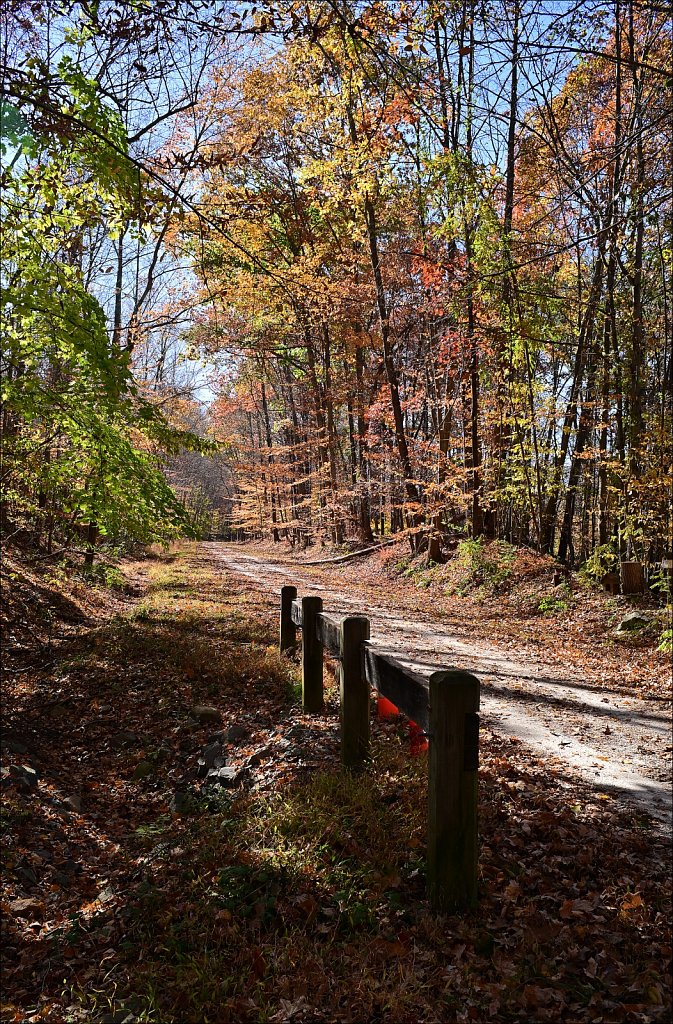 Columbia Trail - 