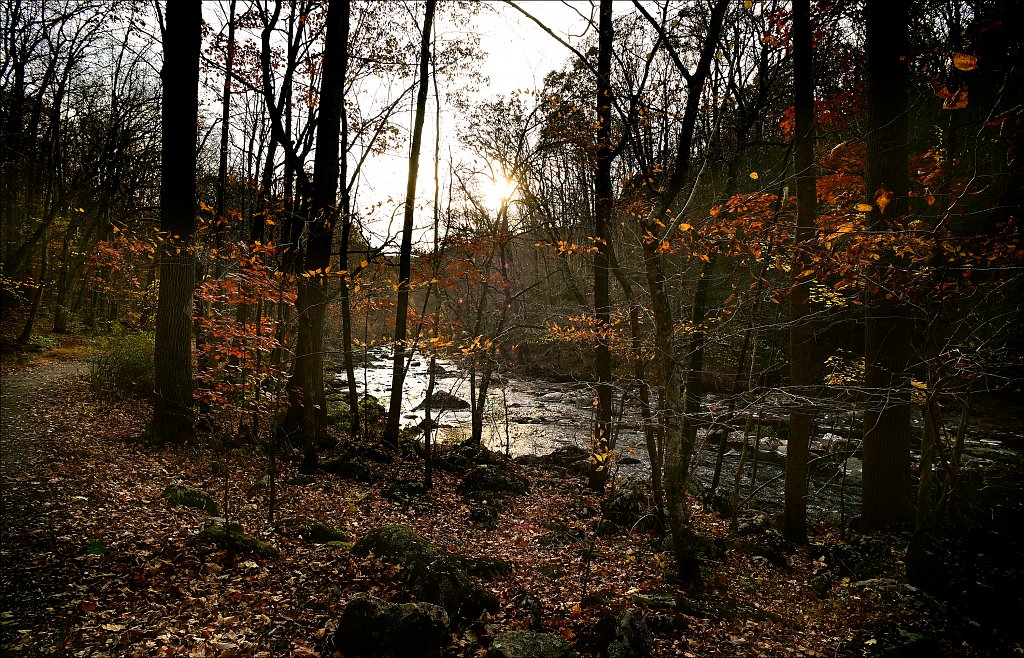 Ken Lockwood Gorge WMA