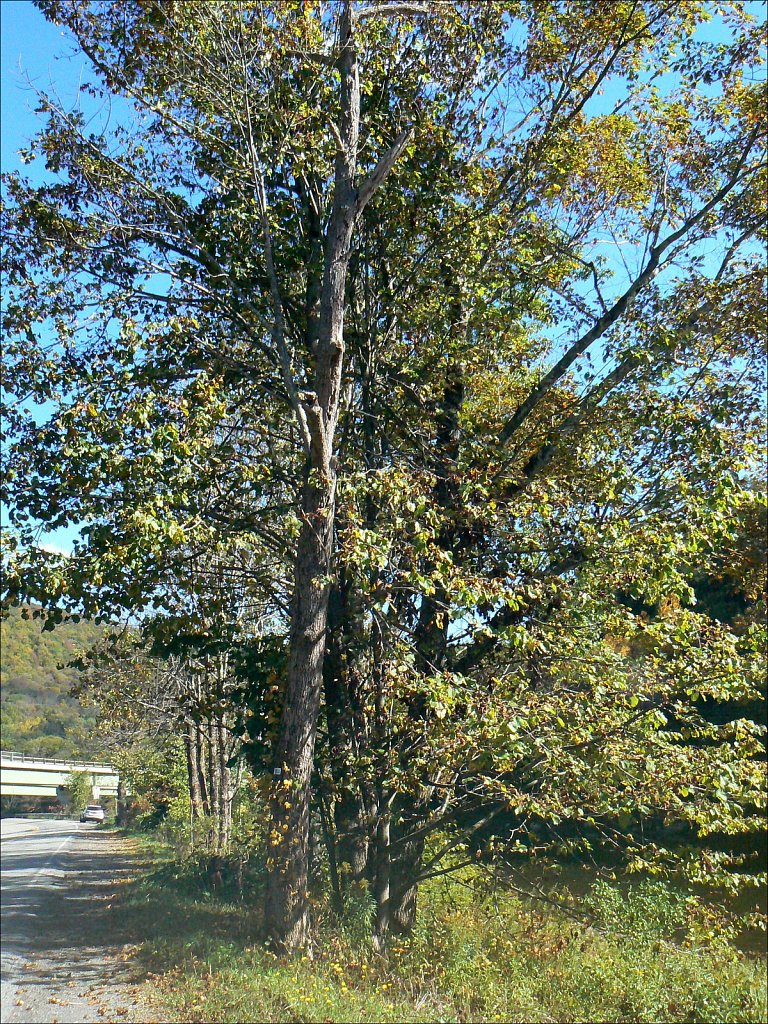 2024231F-P1060200.jpg