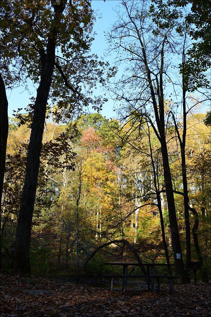 Stephens State Park