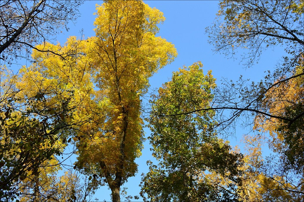 Stephens State Park