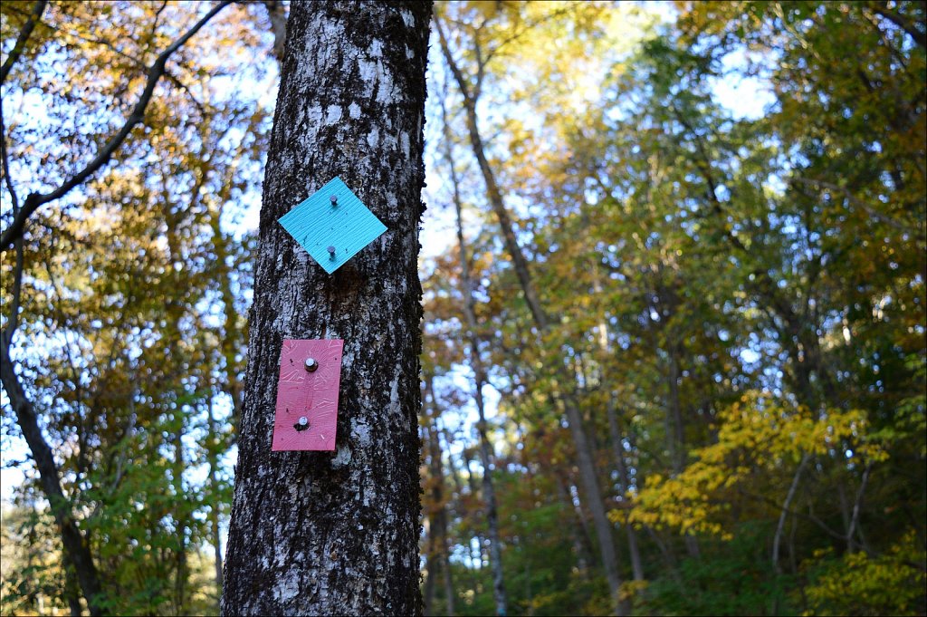 Stephens State Park