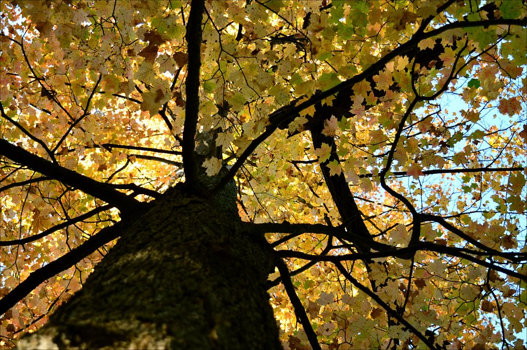 Stephens State Park