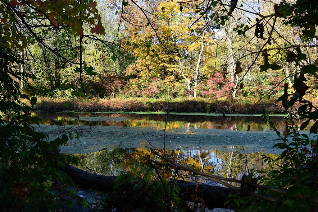 Stephens State Park