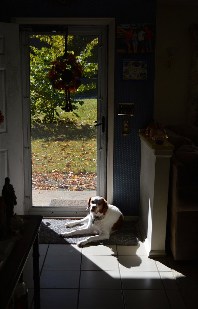 Testing the D3200