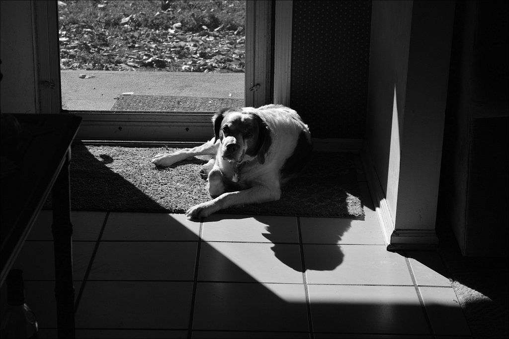 Testing the D3200