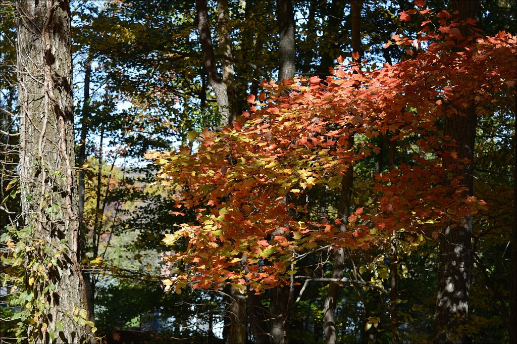 Testing the D3200