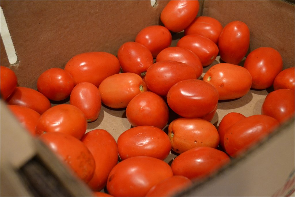 Tomatoes for Canning