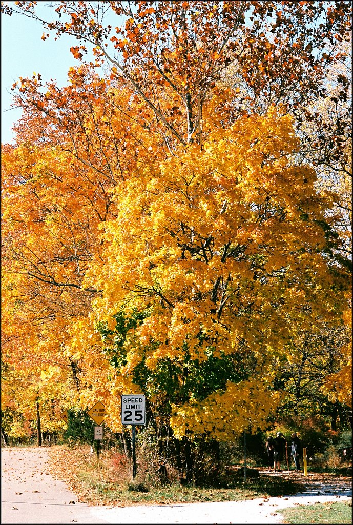 Columbia Trail 