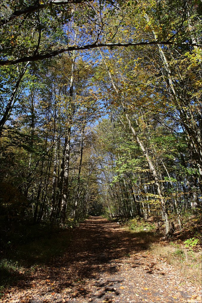 Sussex Branch Trail