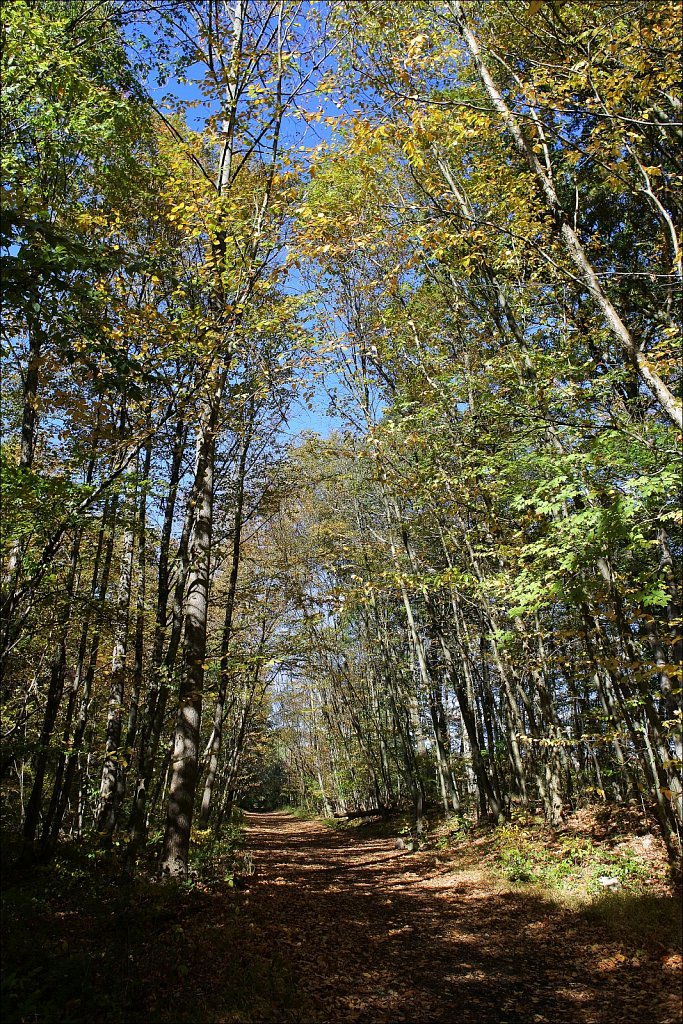 Sussex Branch Trail