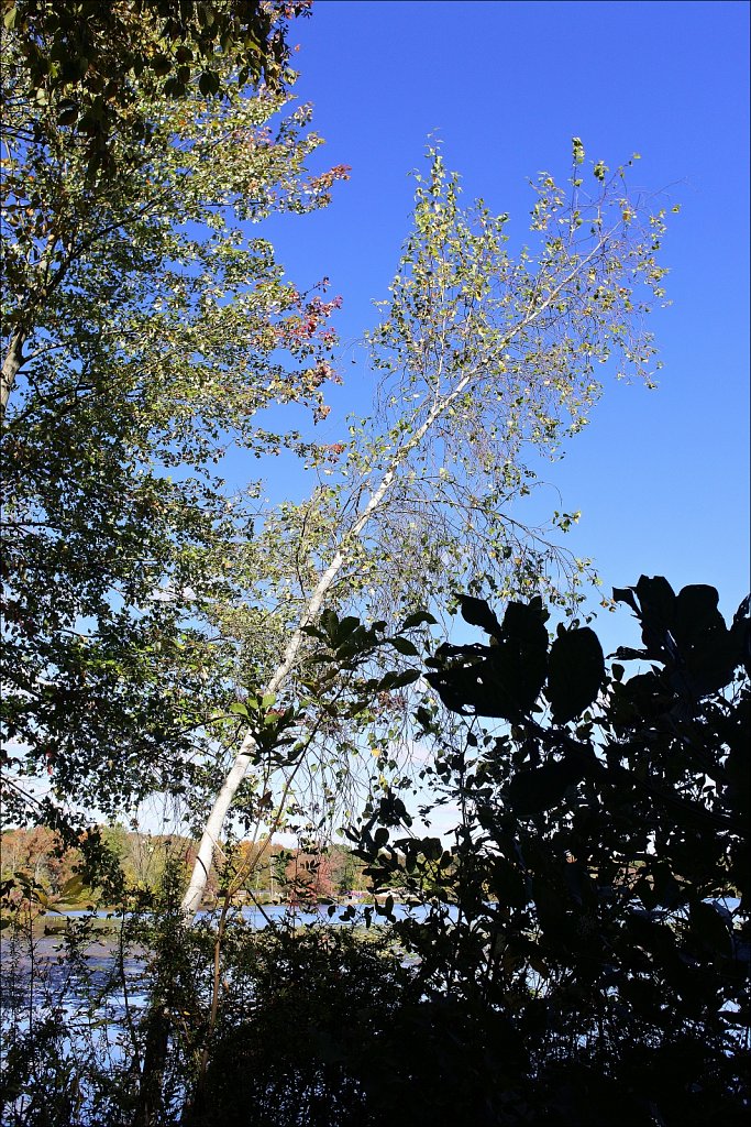 Sussex Branch Trail