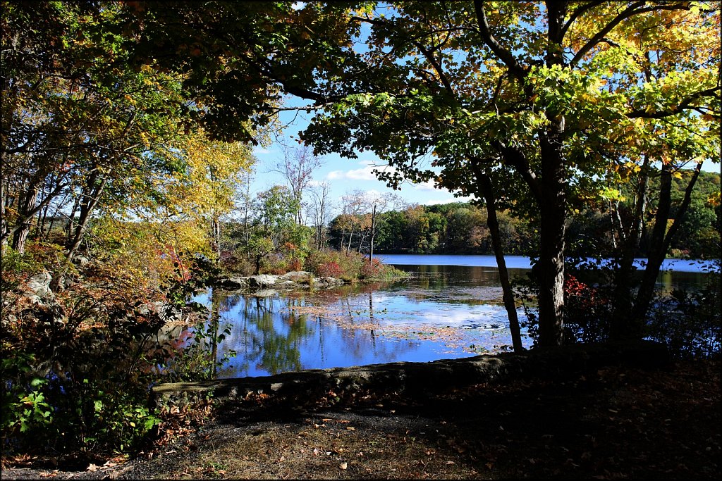 Sussex Branch Trail