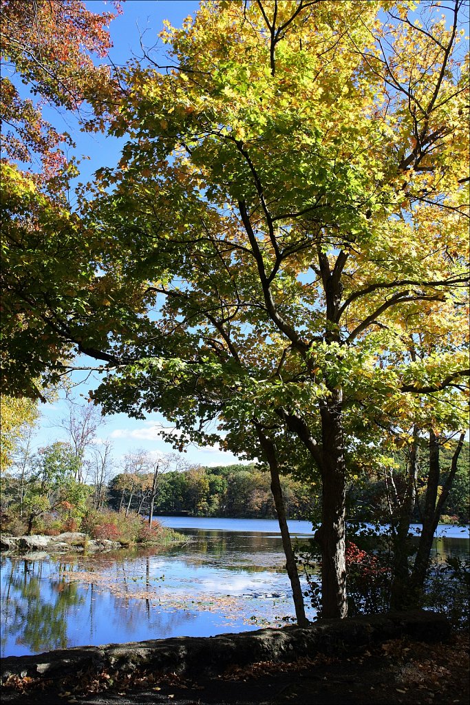 Sussex Branch Trail