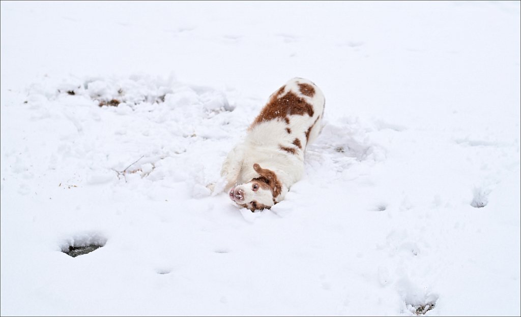 1st Snow of Season