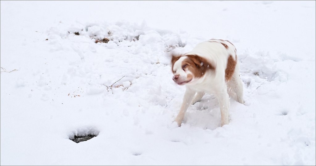 1st Snow of Season