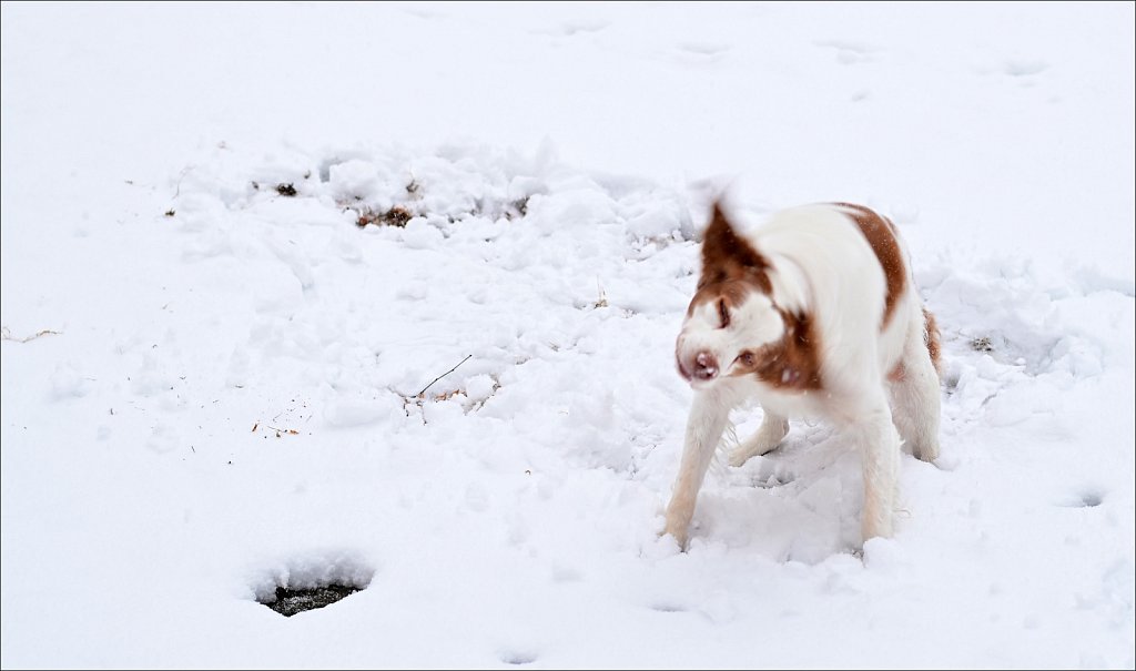 1st Snow of Season