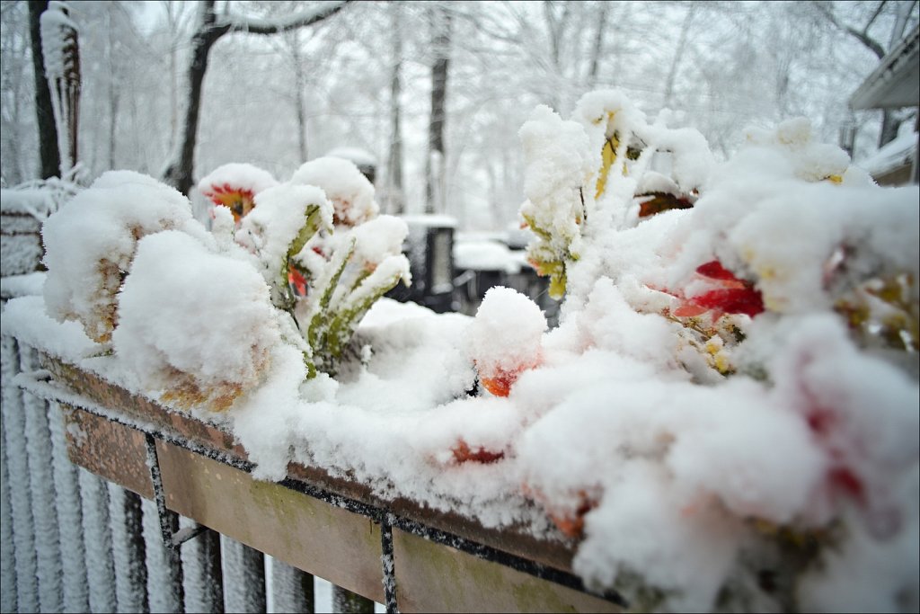 1st Snow of Season