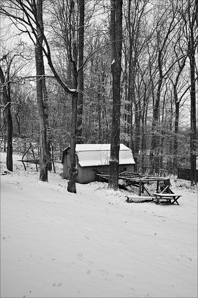 Project Black and White