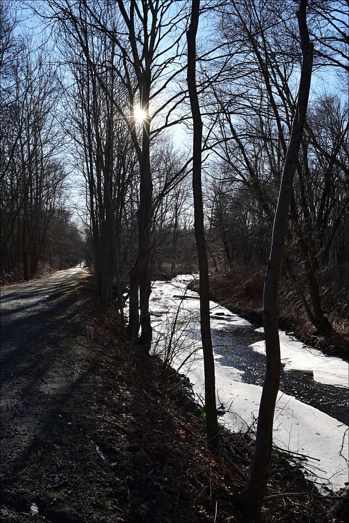 Columbia Trail