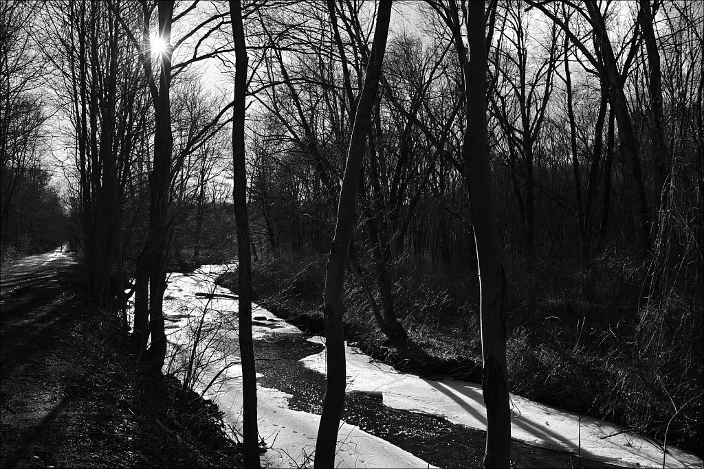 Columbia Trail