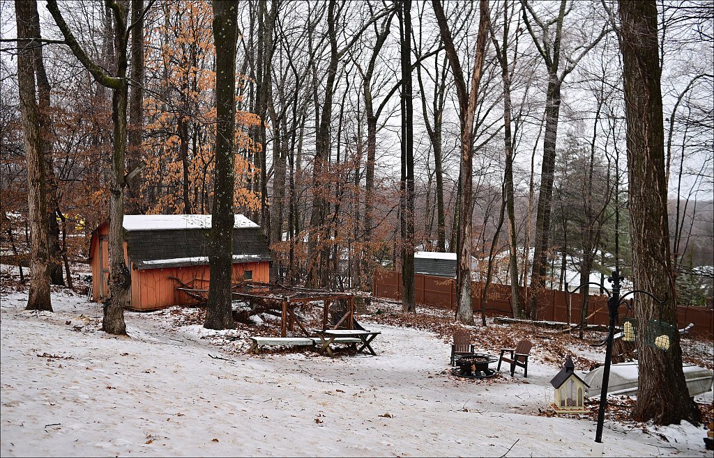 Snow In Backyard