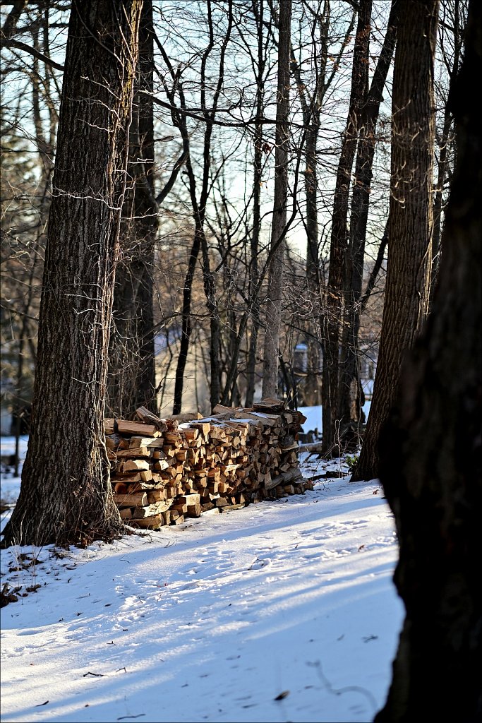 Backyard Walk