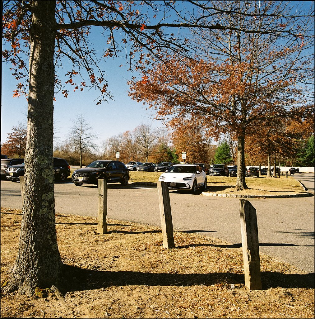 Turkey Brook Park