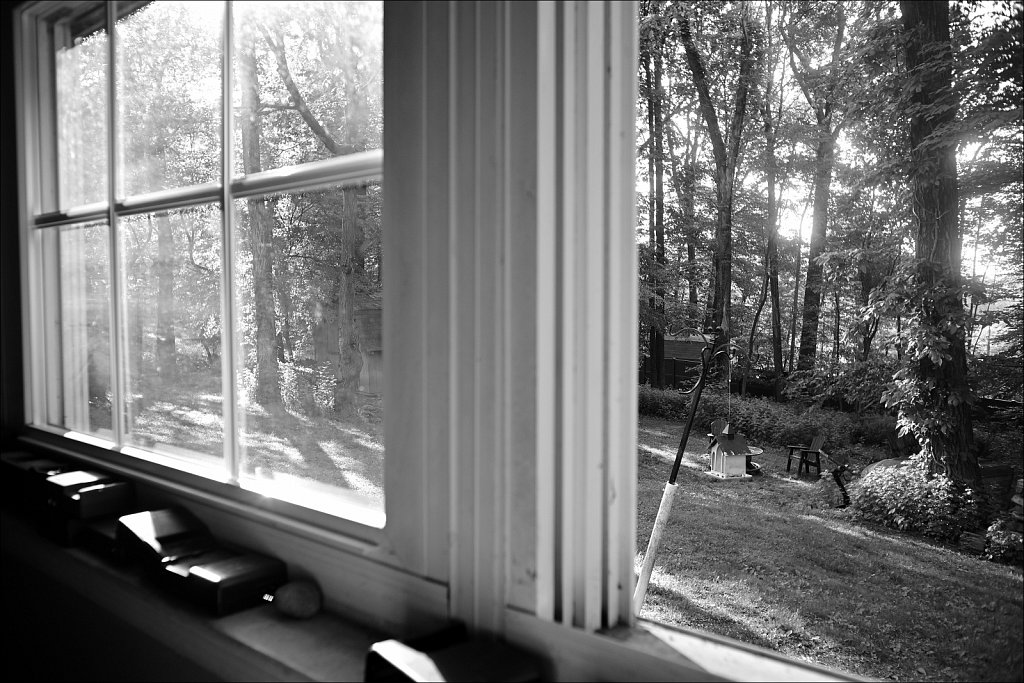 Canon LTM 28mm F/3.5 - Backyard Lens Test