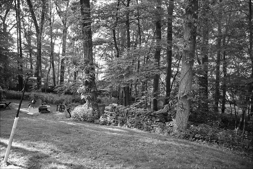 Canon LTM 28mm F/3.5 - Backyard Lens Test