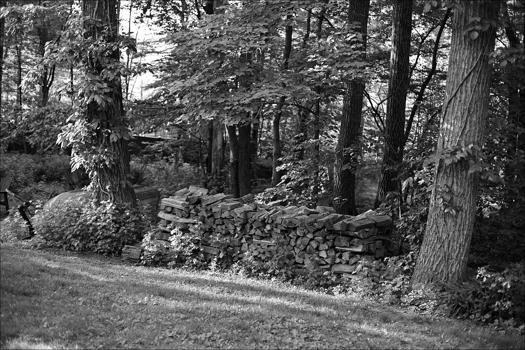 Backyard Lens Test