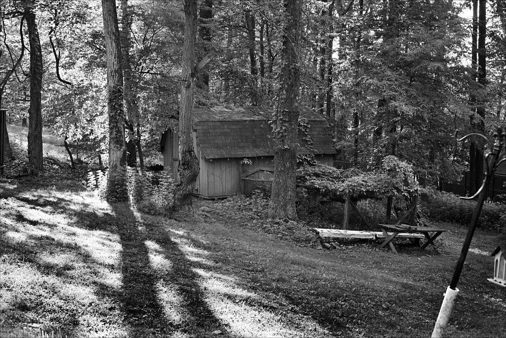 Backyard Lens Test