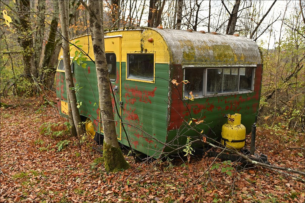 Fall 2025 Upstate NY