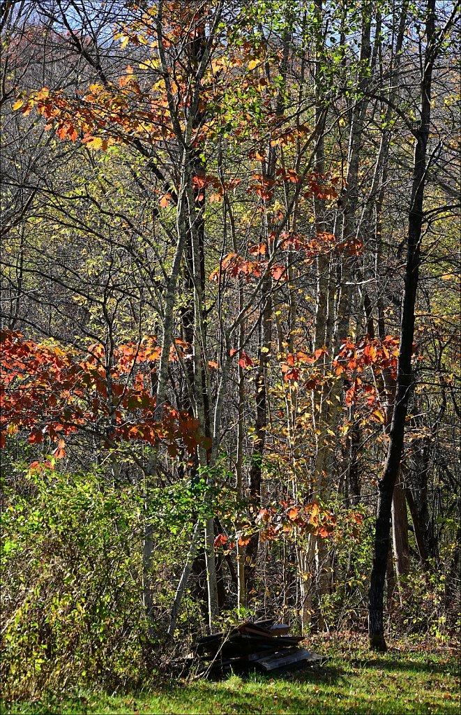 Fall 2025 Upstate NY