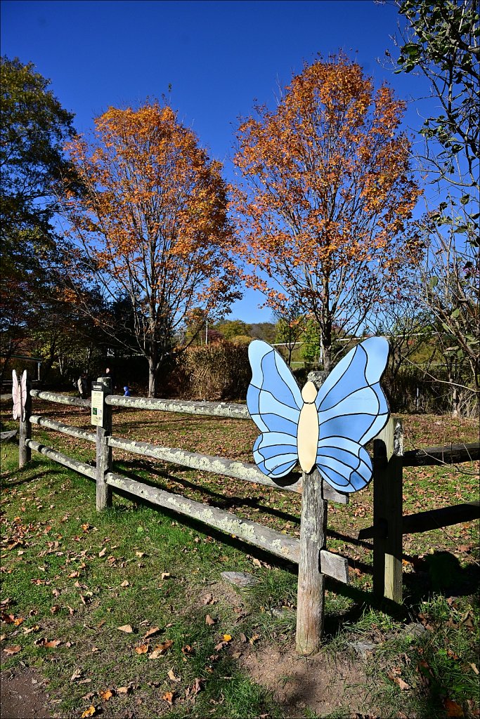 Riverside Park along The Willowemuc 